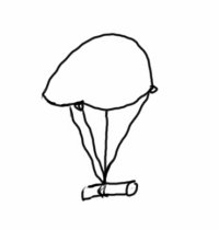 A parachute